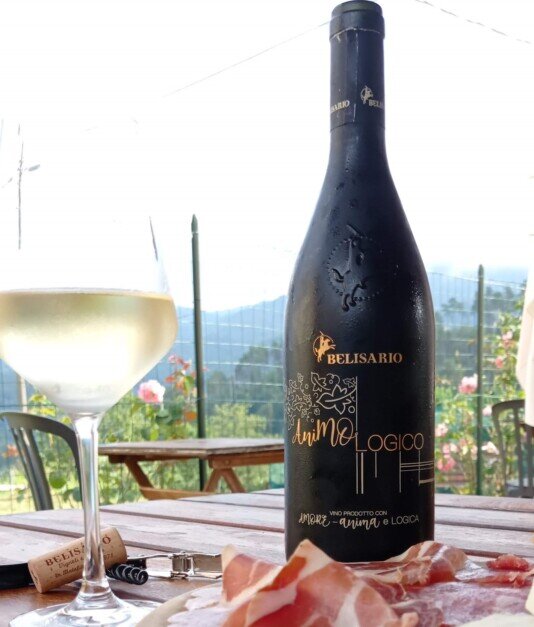 Bicchiere di vino bianco in gairdino Bicchiere di verdicchio e salumi sul tavolo del giardino del ristorante trattoria la loggia